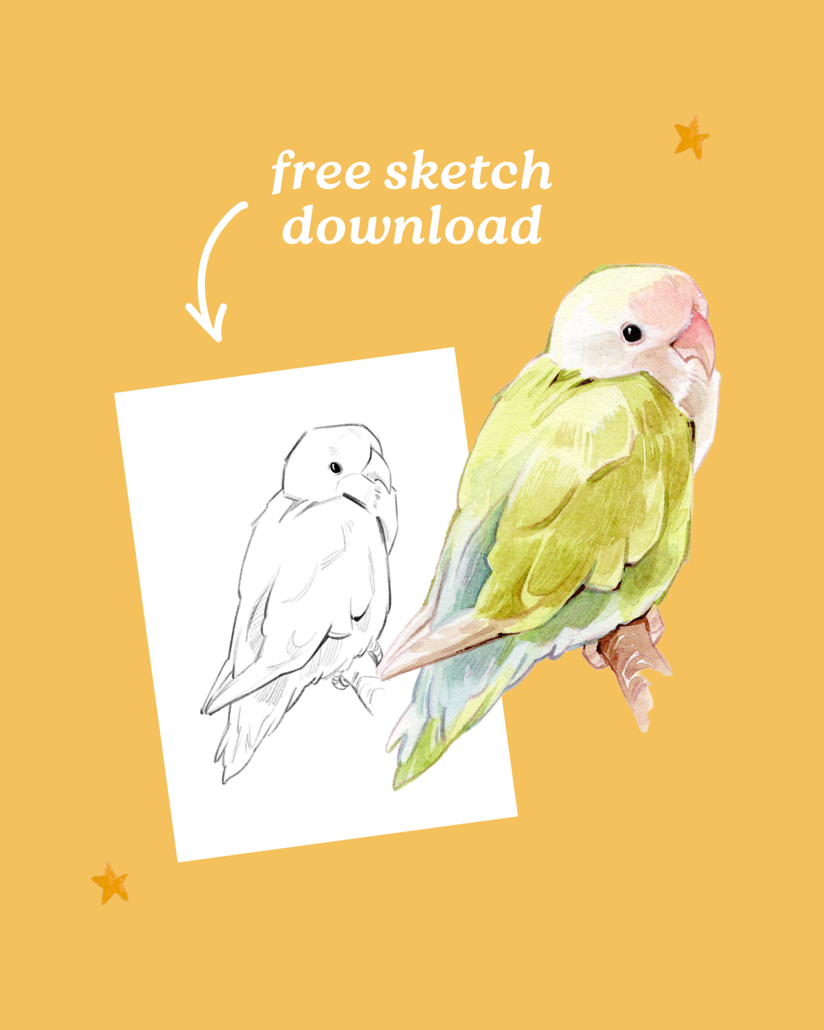 FREE Download- 5 Free Sketches