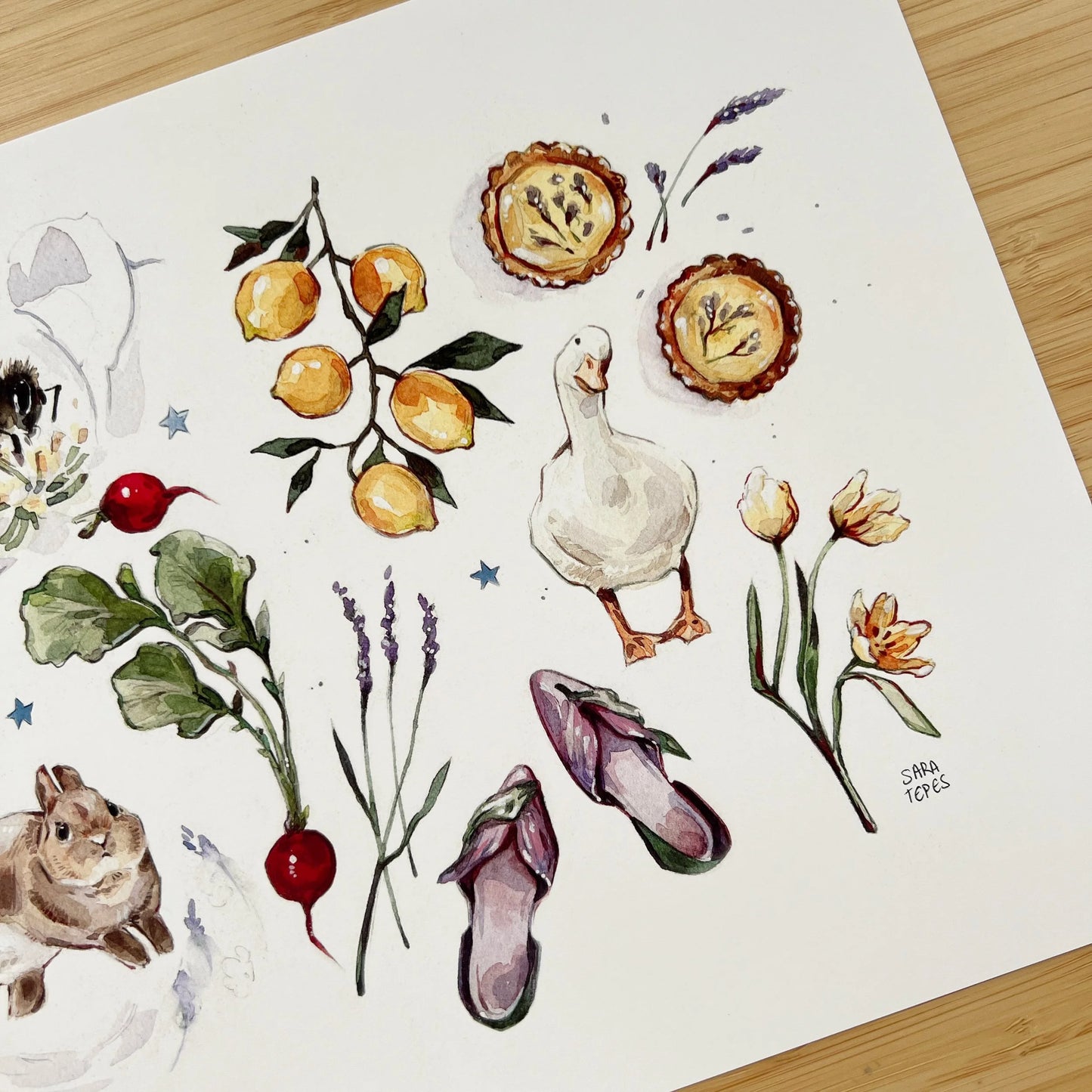 Fairy's Garden Large Print