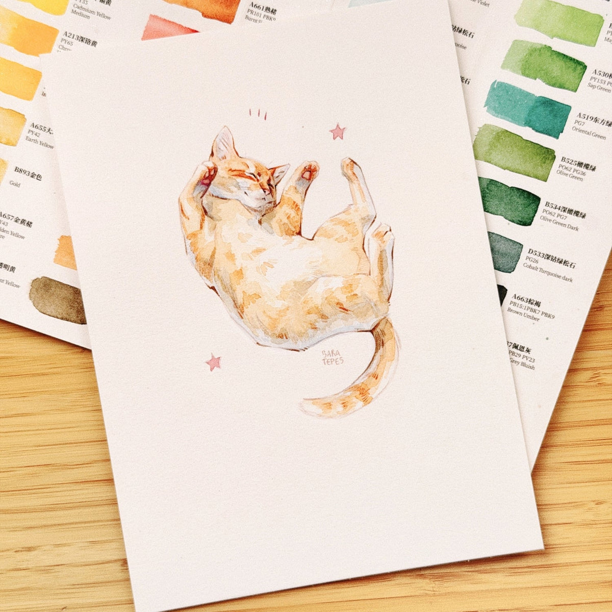 ✦ New in the Studio ✦