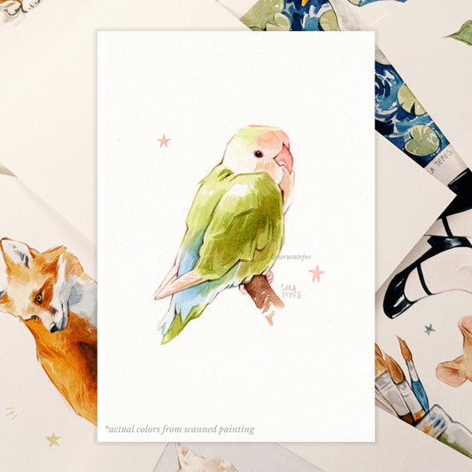 Lovebird Original Watercolor