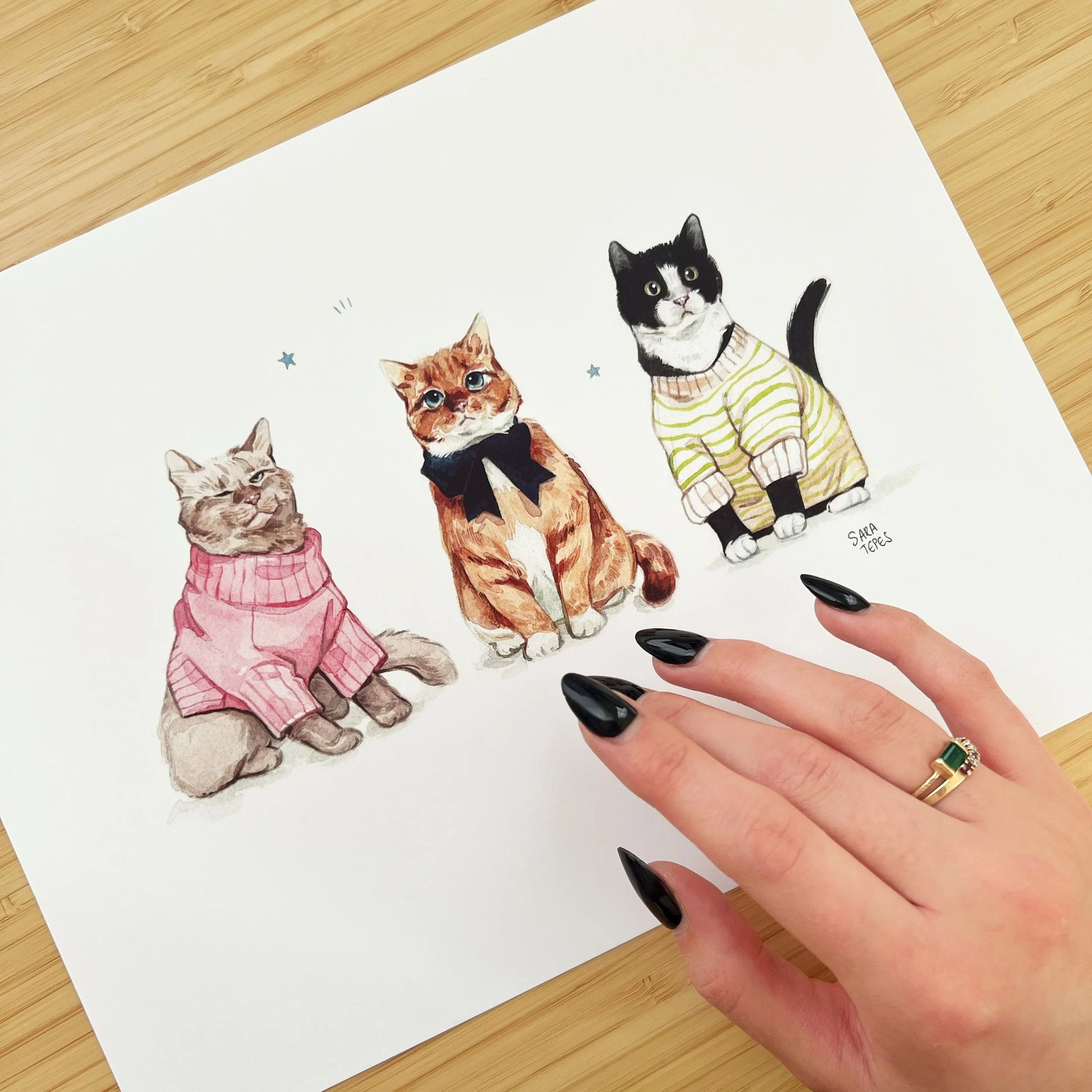 Cats in Sweaters Large Print