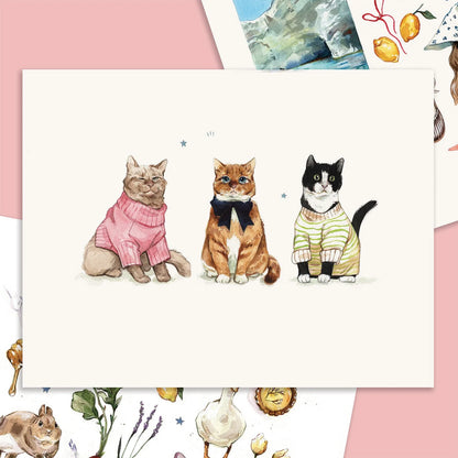 Cats in Sweaters Large Print