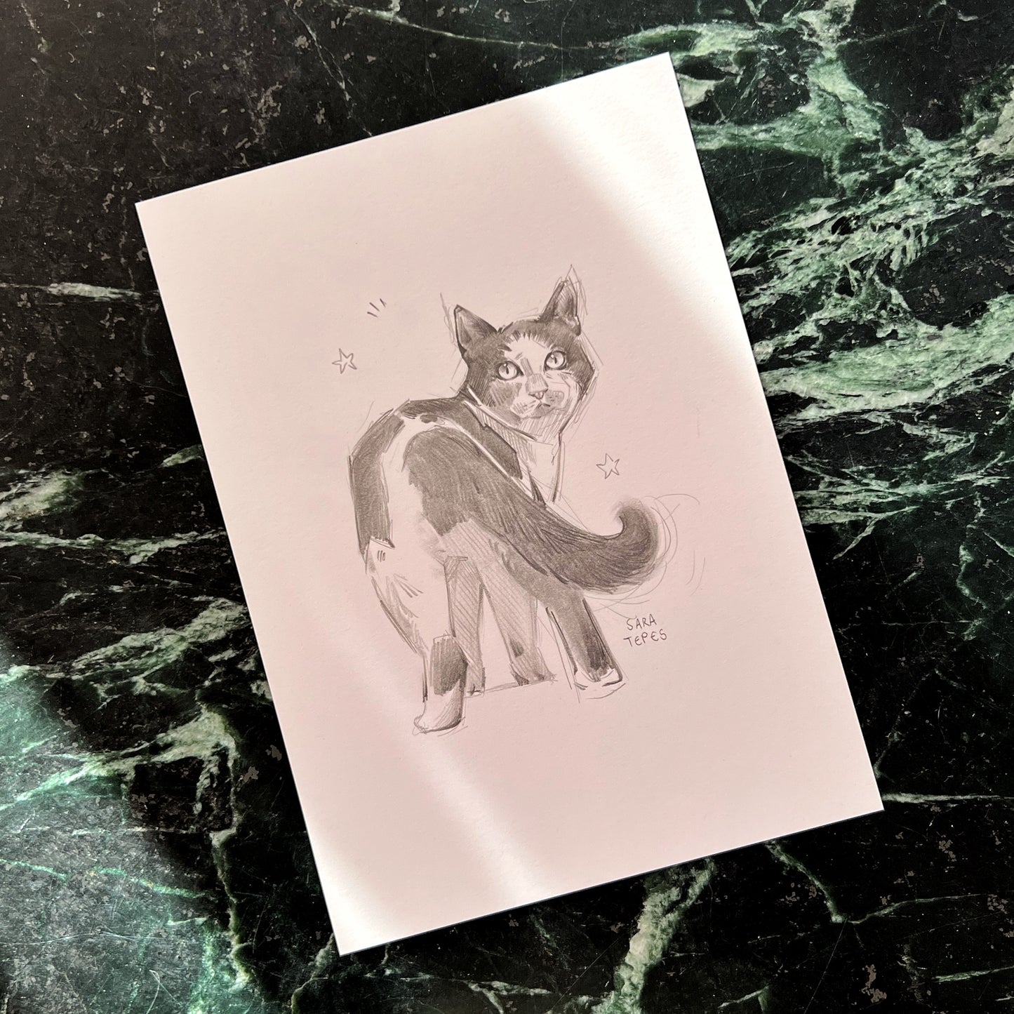 Study- Original Graphite Drawing