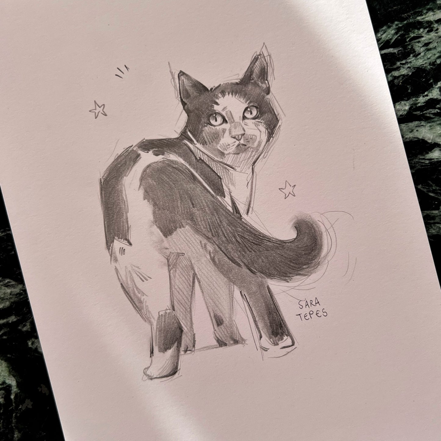 Study- Original Graphite Drawing