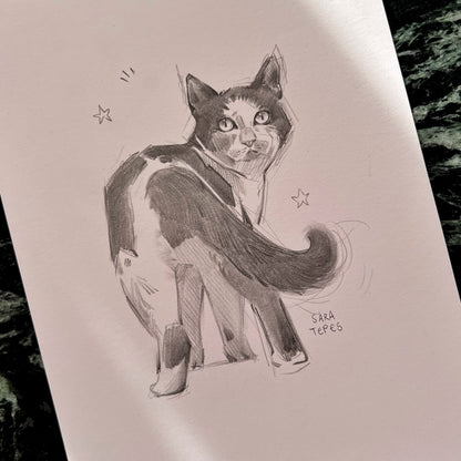 Study- Original Graphite Drawing