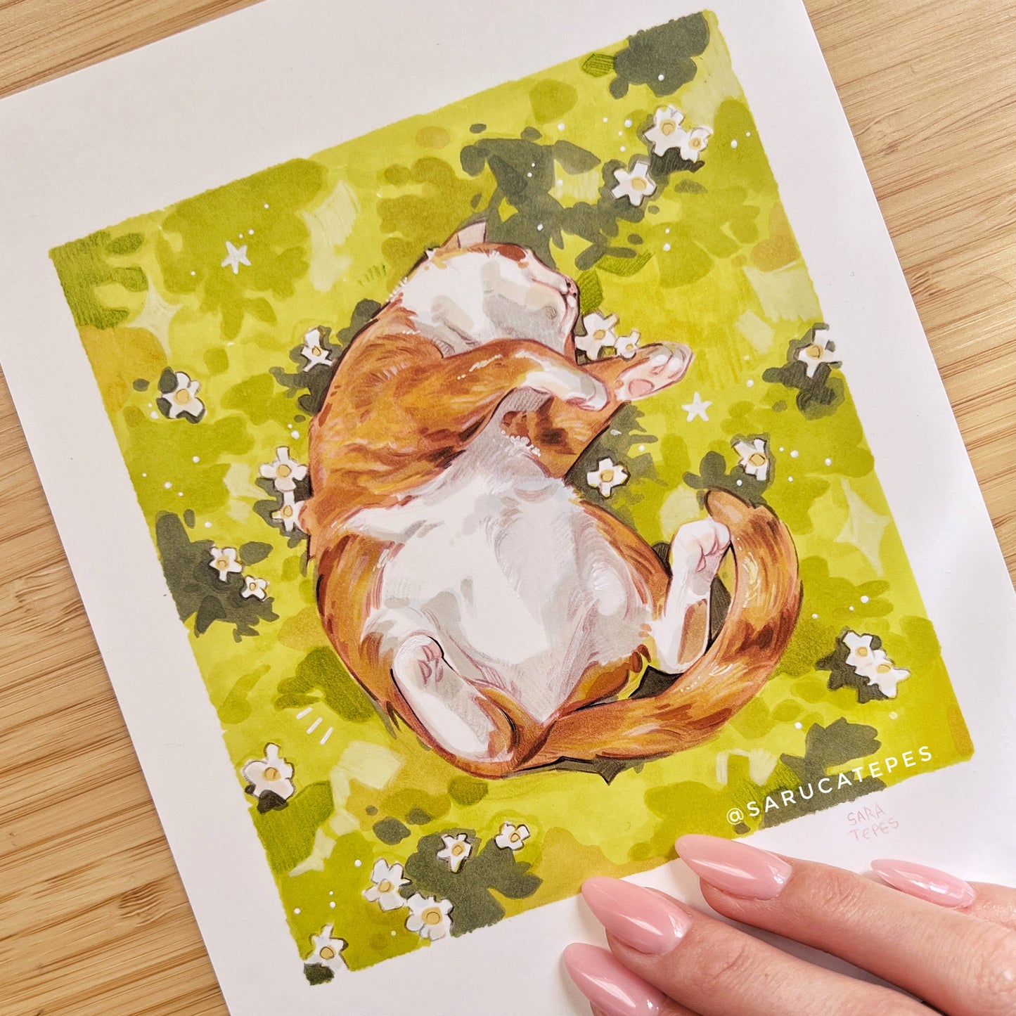 Inktober Drawing- Cat Nap